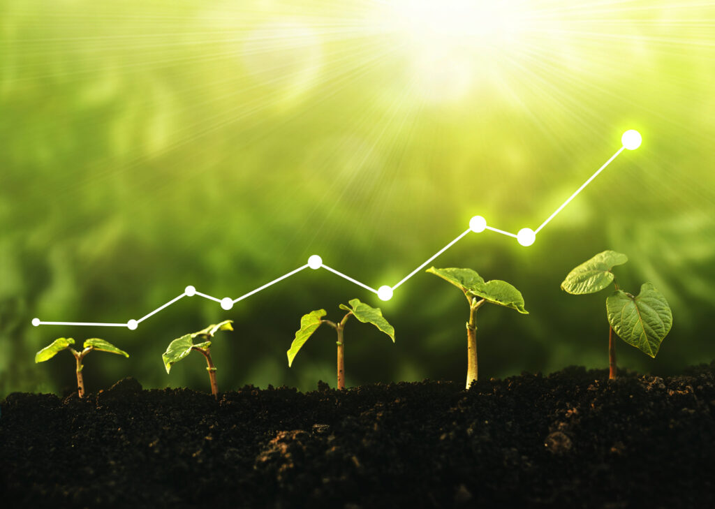 Seedling are growing from the rich soil. Concept of business growth, profit, development and success.