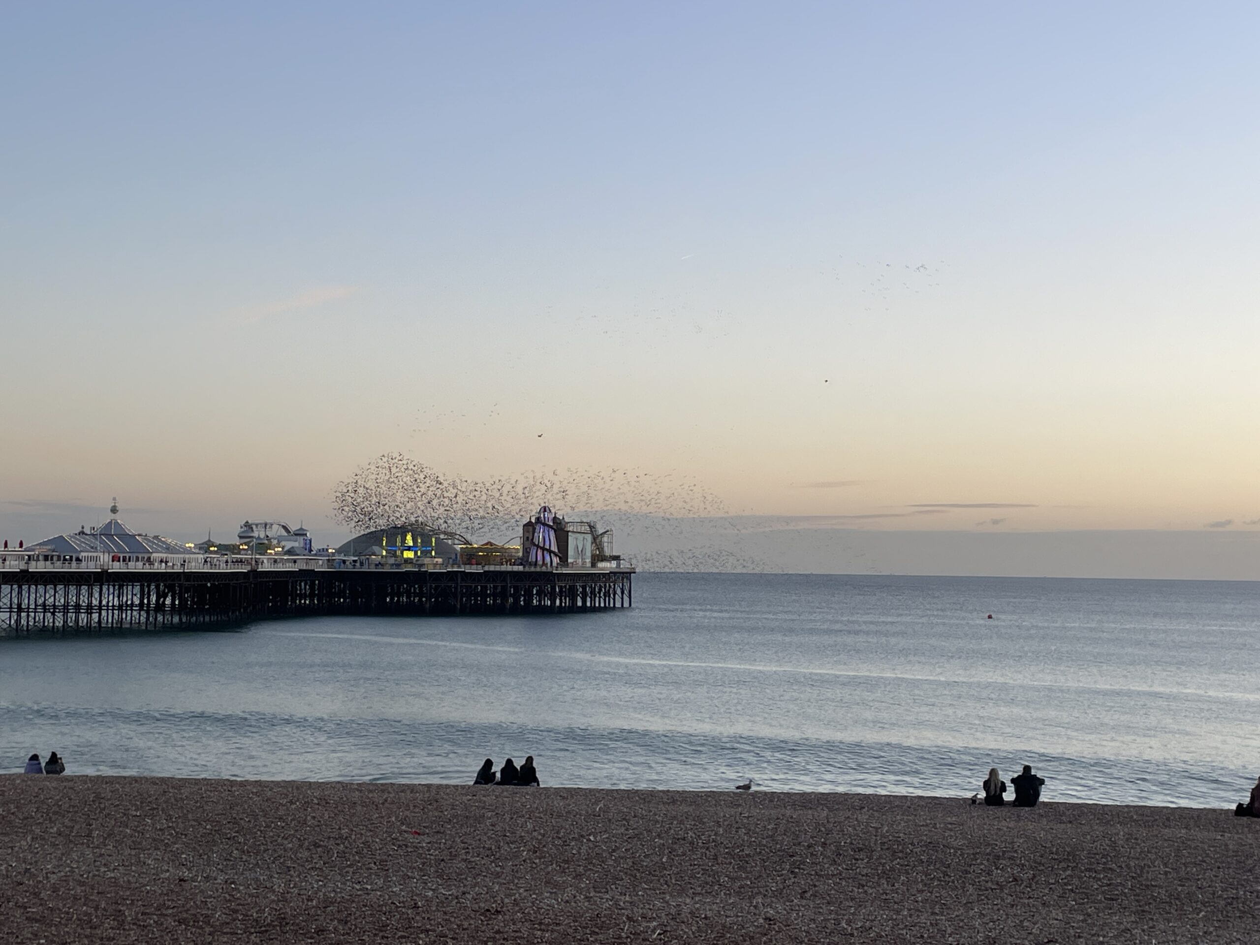 Brighton pier as the sun is setting, with Starlings in a Murmuration (c) Fiona McBride