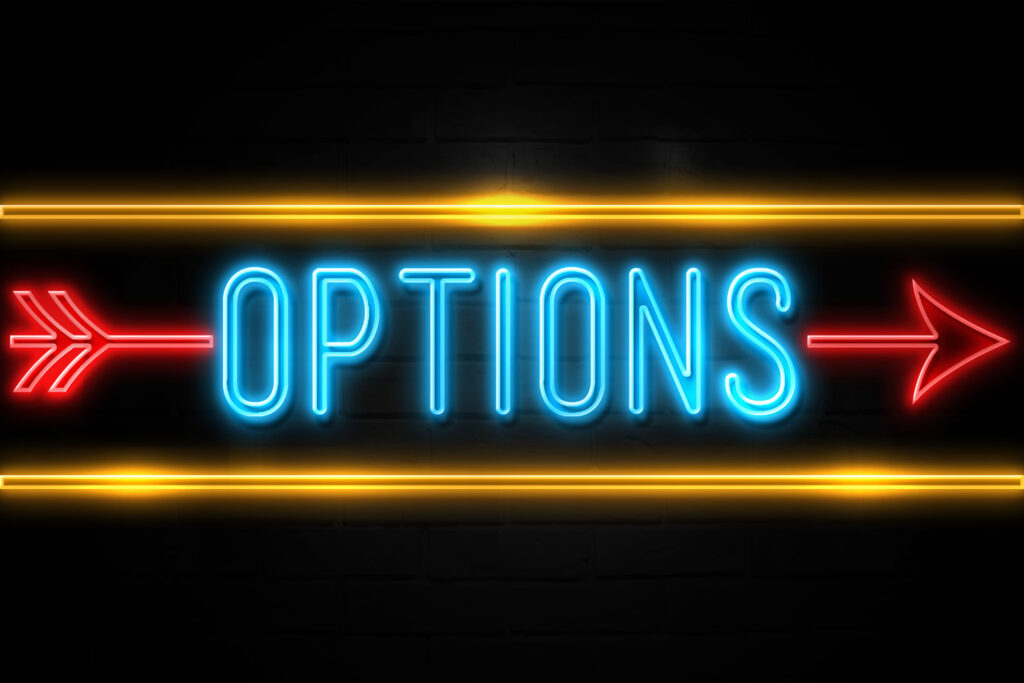 Options  - fluorescent Neon Sign on brickwall Front view